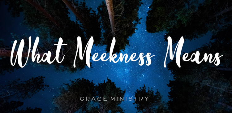 Begin your day right with Bro Andrews life-changing online daily devotional "What Meekness Means" read and Explore God's potential in you   